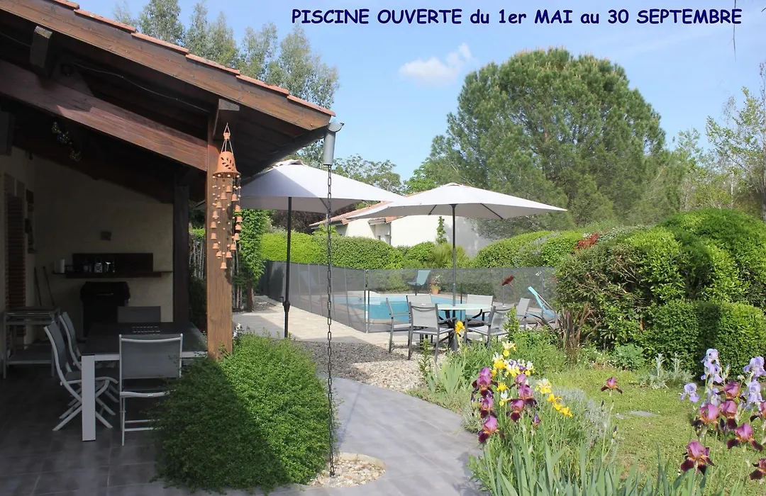 Les sittelles-1