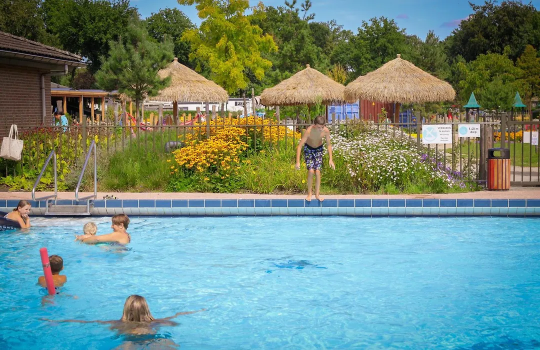 Hotel de Boshoek-1