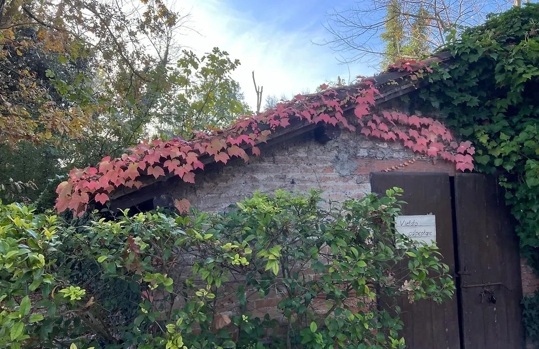 Casa Delle Meridiane-1