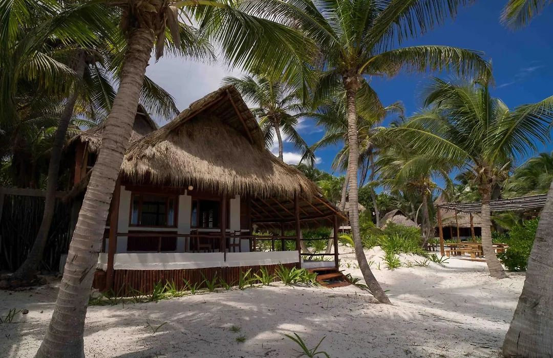 Bt Live Tulum Located At The Party Zone-1