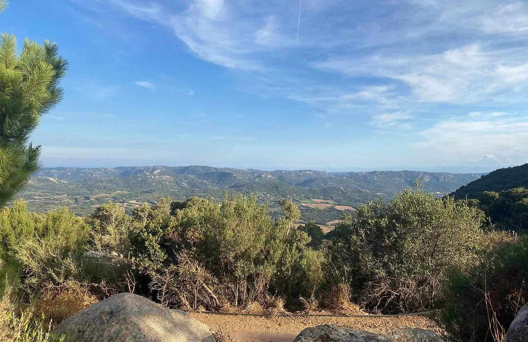 Domaine De Piscia-1
