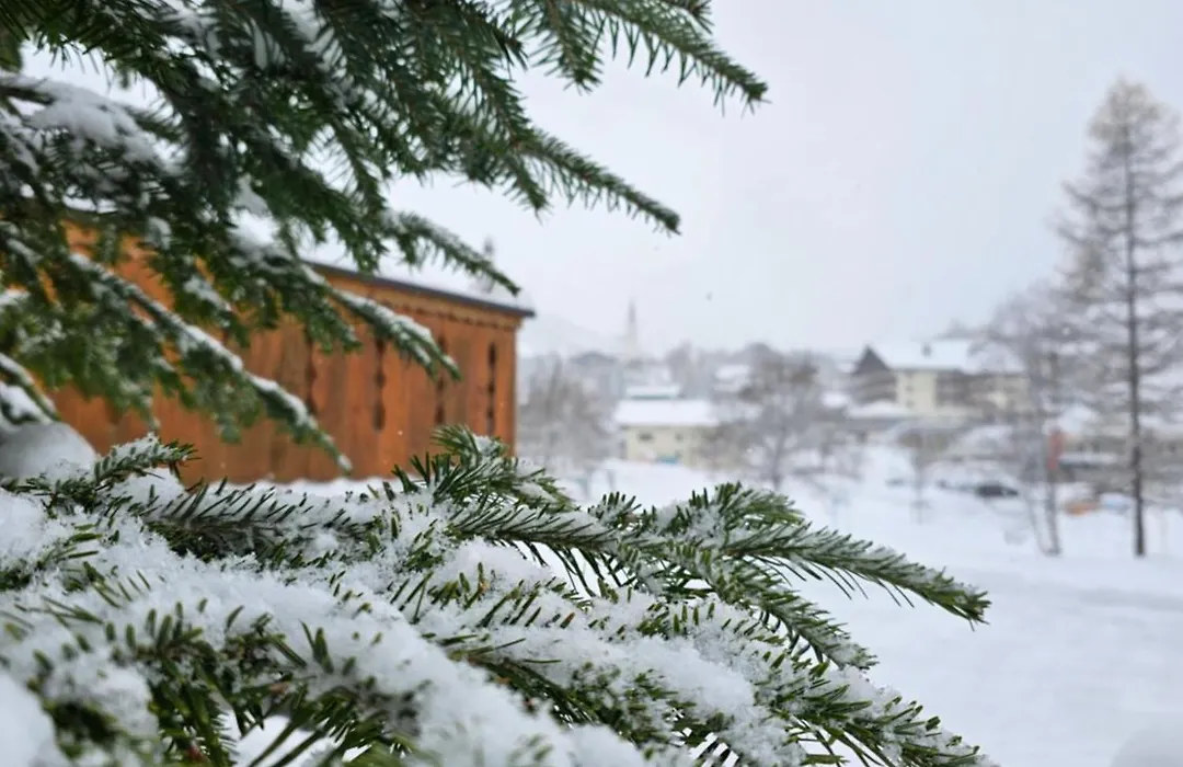 Bergkristall B&B-1