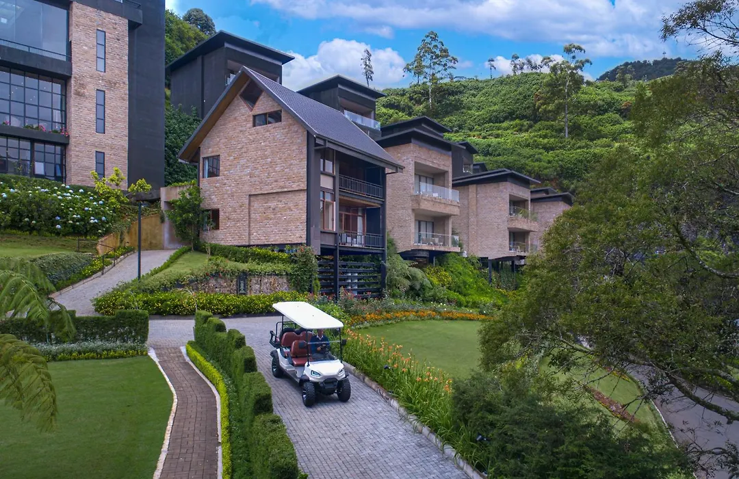 The Golden Ridge Hotel-1