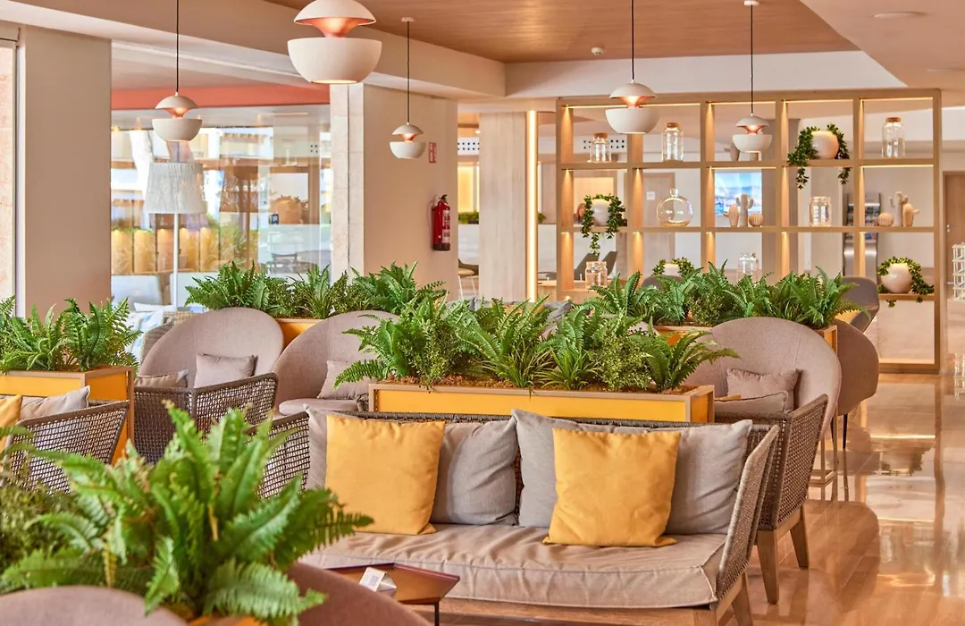 Zafiro Bahia-1