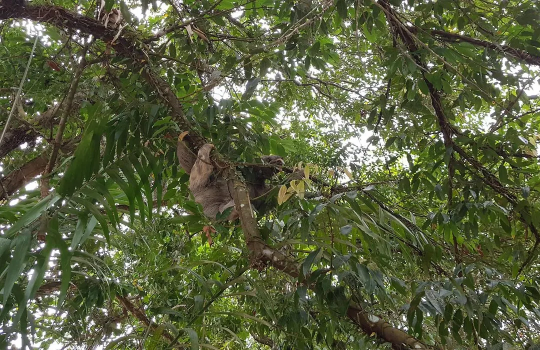 Pousada Bucaneiros-1
