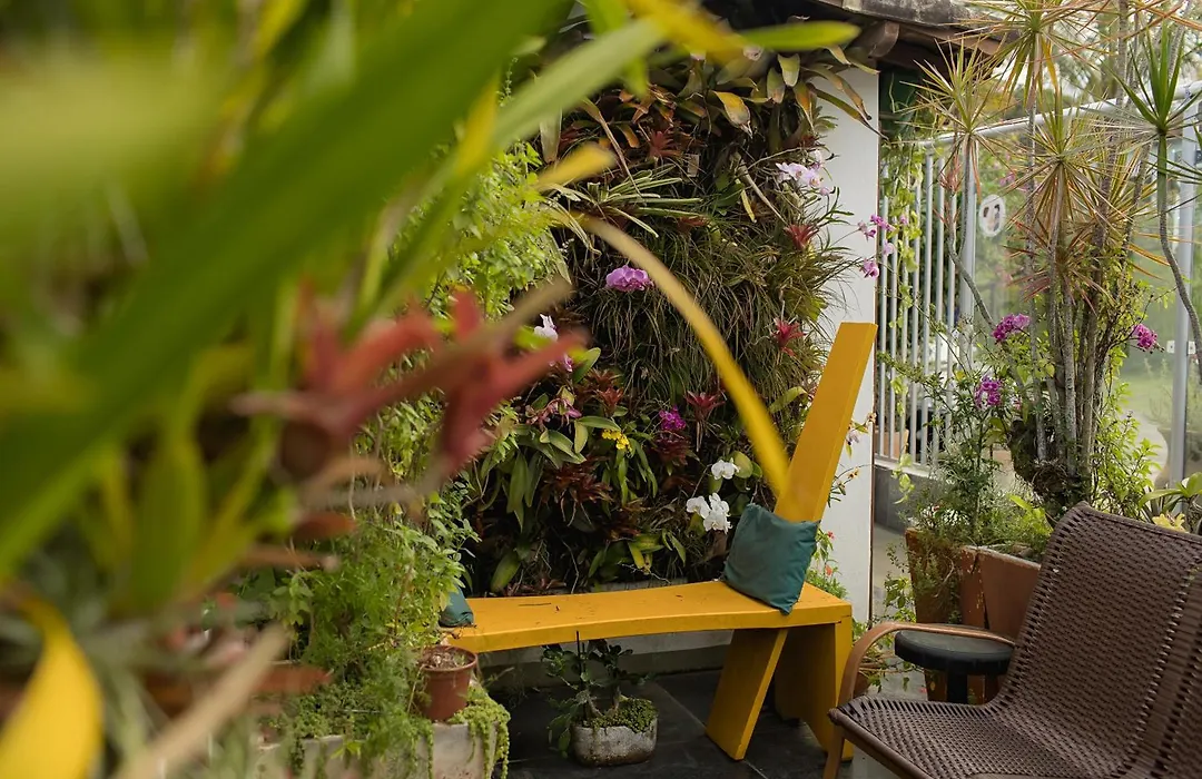 Orquidea Cafe-1