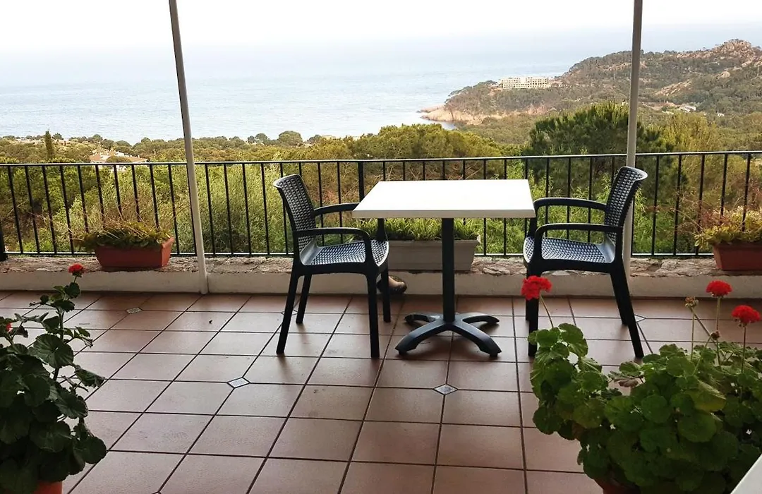 Hostal Sa Barraca - Adults Only-1