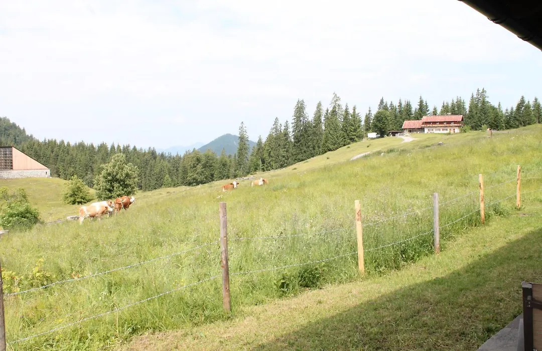 Winklmoos Sonnenalm-1
