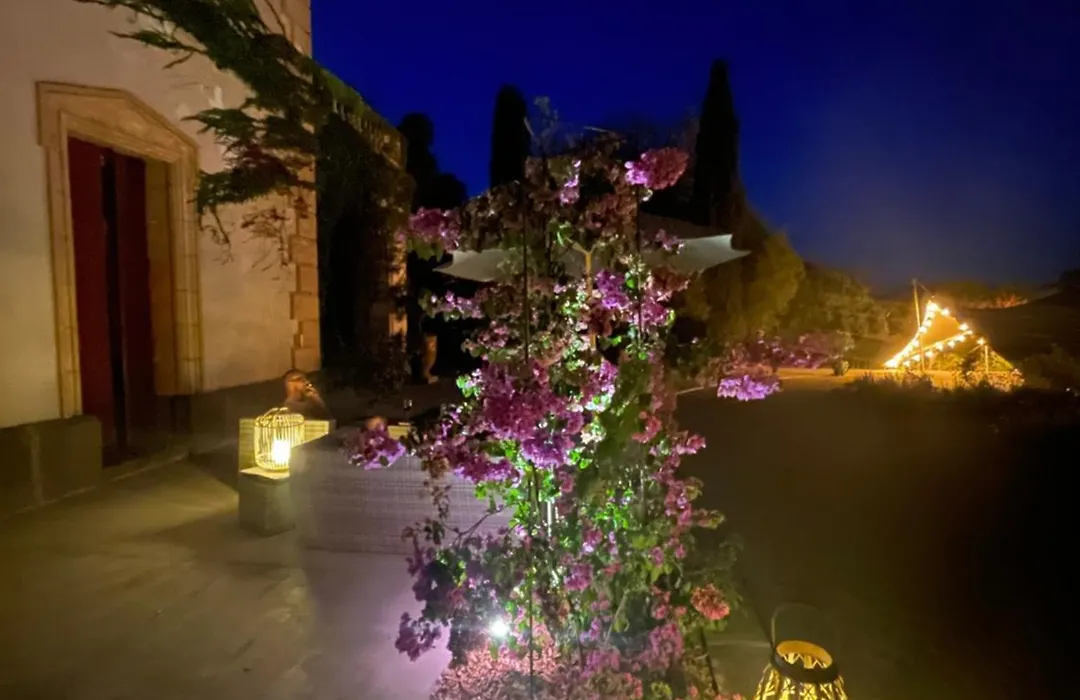 La Bellonette-1
