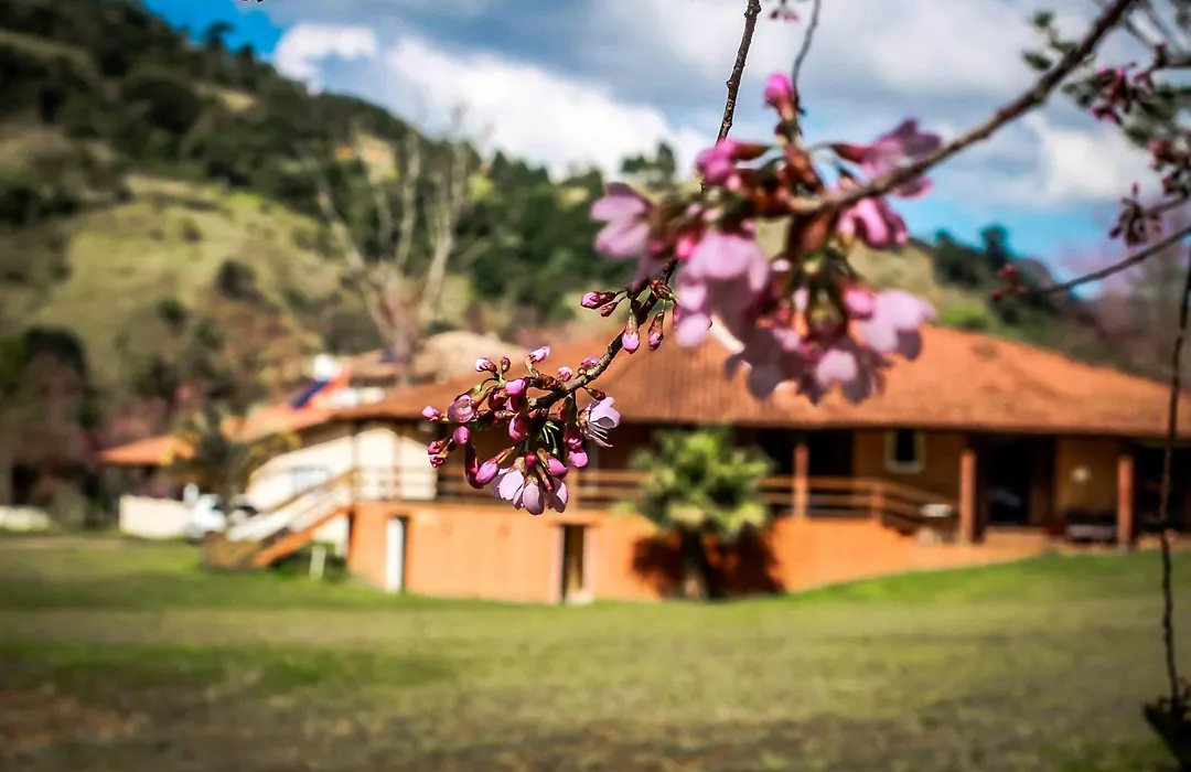 Pousada das Flores-1