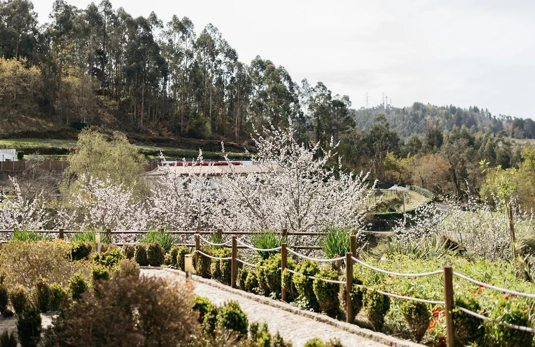 Quinta Do Bento-1