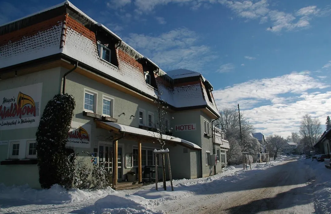 Mayers Waldhorn - zwischen Reutlingen und Tübingen-1