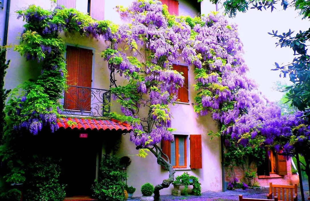 Le Querce Hotel-1