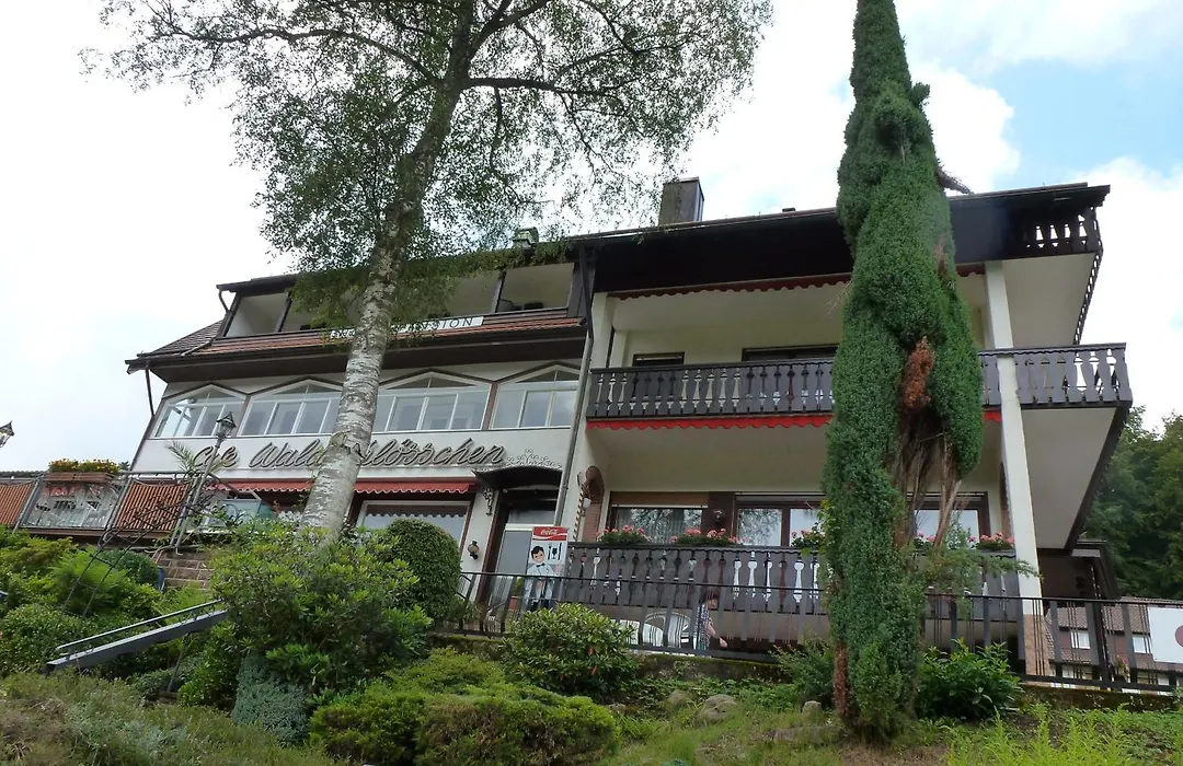 Waldschloesschen-1