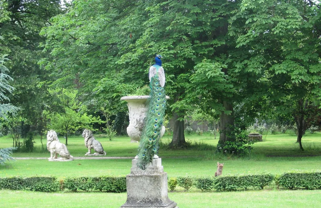 Manoir de la Marjolaine-1