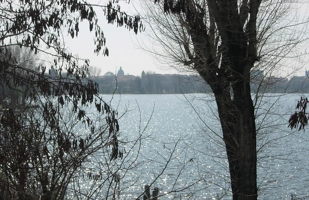 Villa Cittadella B&B-1