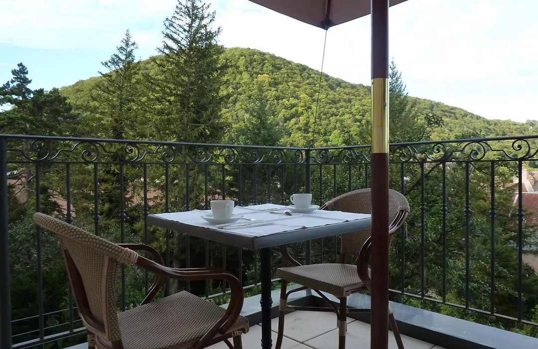 Hôtel Restaurant Spa Le Sauvage-1