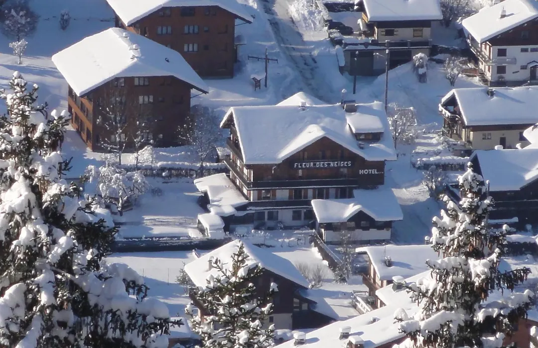 Fleur des Neiges-1