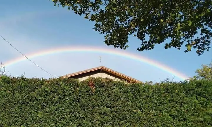 Appartamento Il Bosco-1