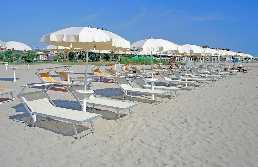Hotel Rivadoro-Spiaggia ombrellone e lettini-Piscina-Parcheggio-1