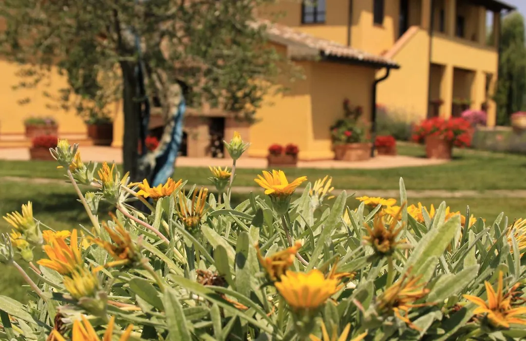 Podere Tre Cipressi-1