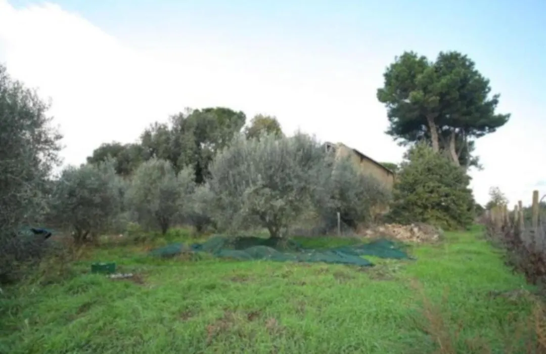 Antico Borgo La Commenda-1