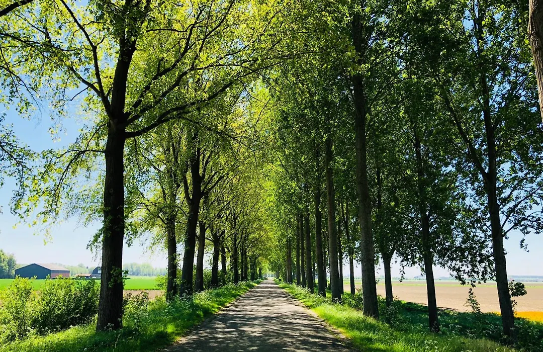 Slapen bij de Zeeuwse Lala-1