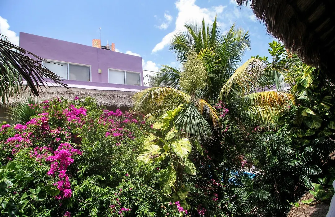 Villas Geminis Boutique Condohotel-1