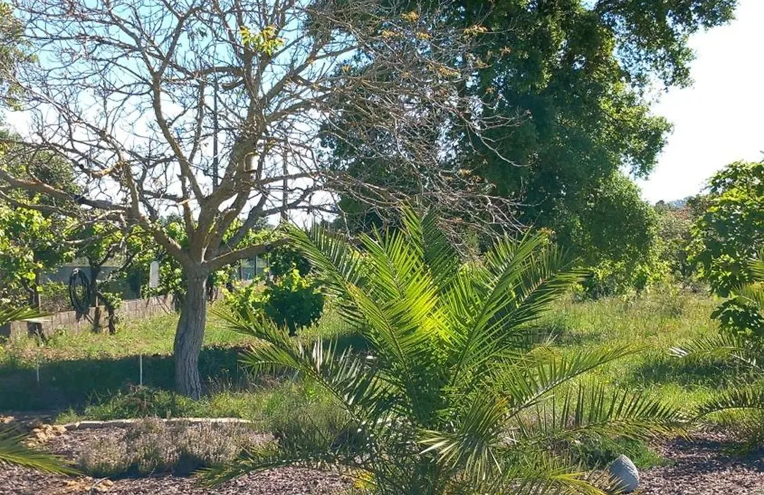 Quinta Laranjal Da Arrabida-1