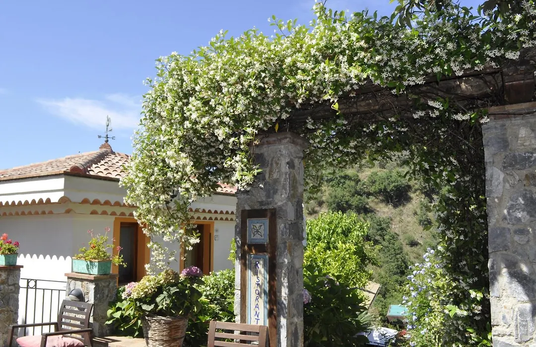Borgo San Francesco-1