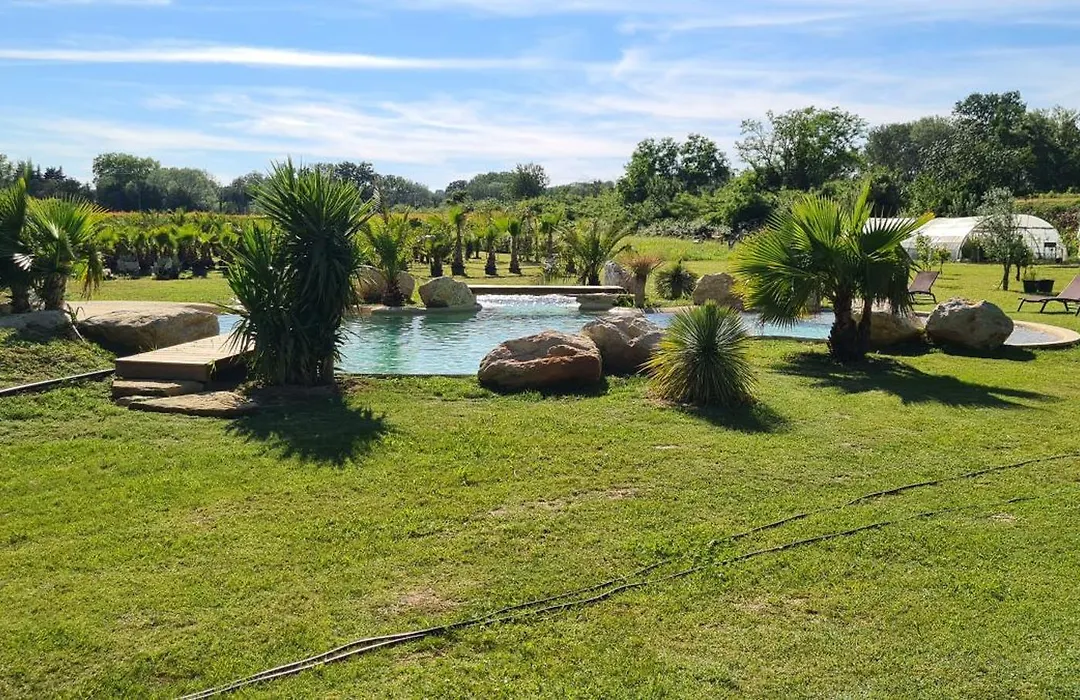 Le Mas Des Cerisiers Jacuzzi Et Sauna Inclus Pour Tous Les Logements-1