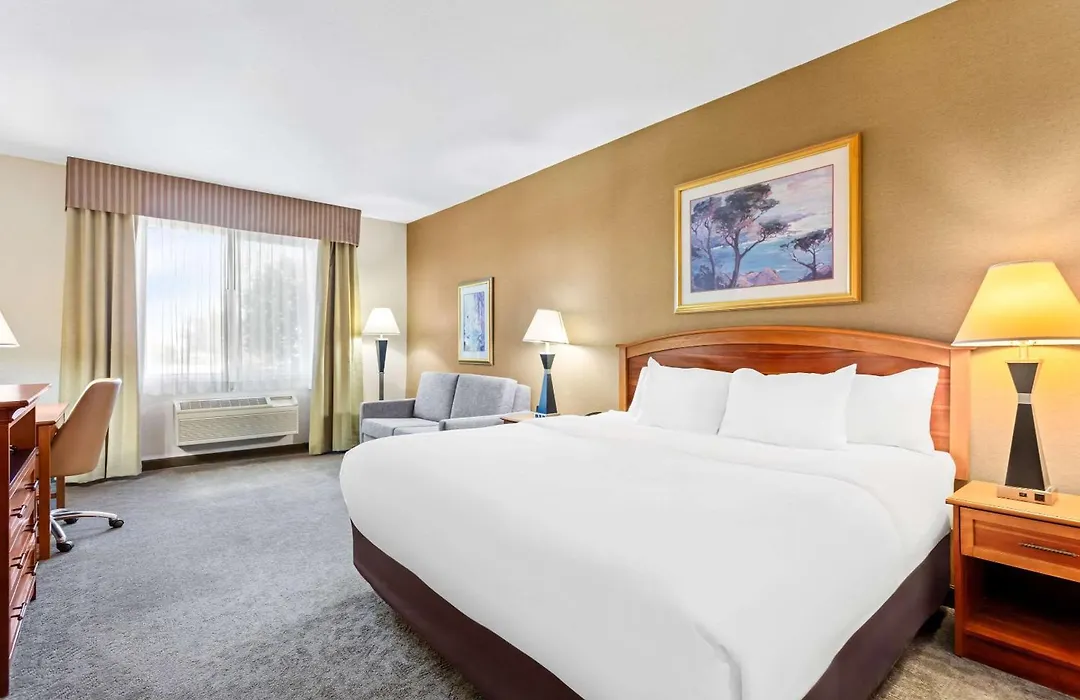 Comfort Inn & Suites I-25 Near Spaceport America-1
