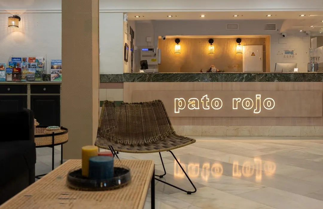 Pato Rojo-1