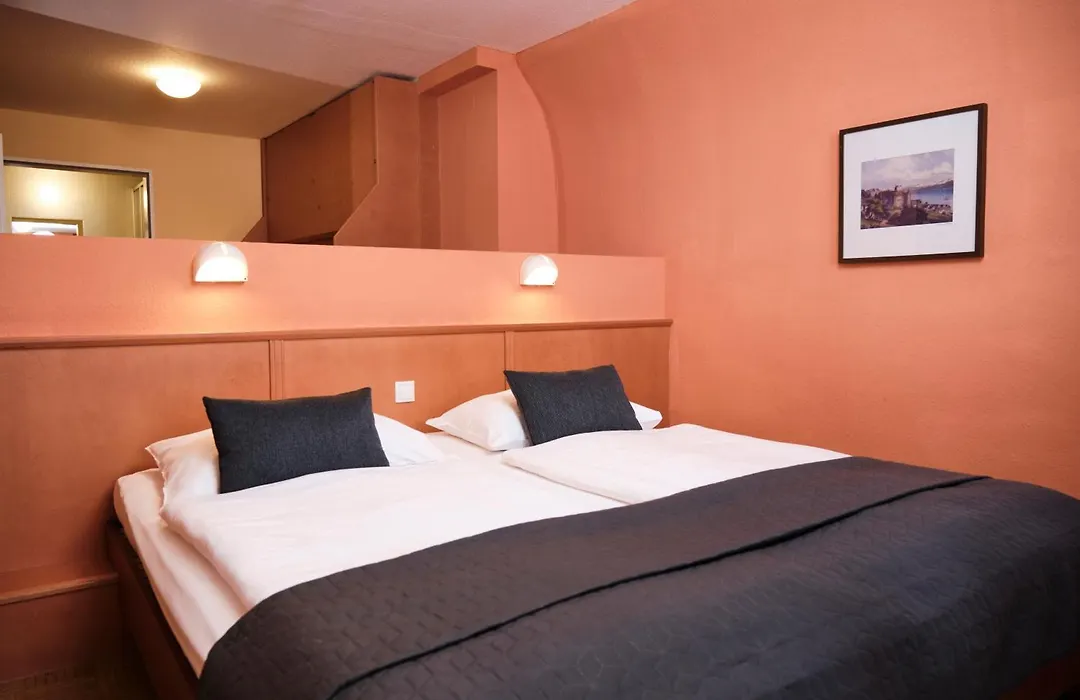 JUFA Hotel Meersburg am Bodensee-1