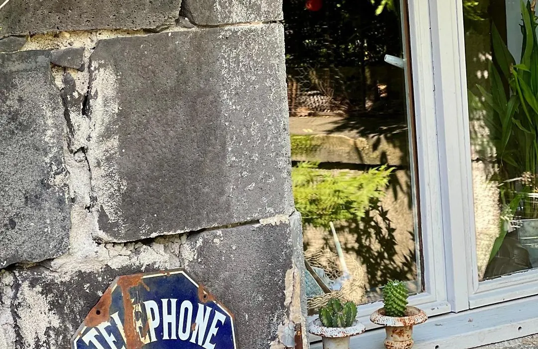 Les Hirondelles du Marais-1