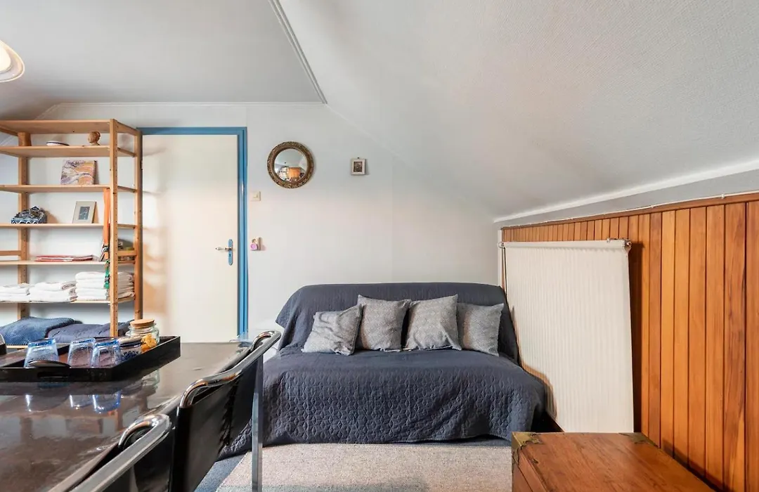 Cozy room in residential Alkmaar-1