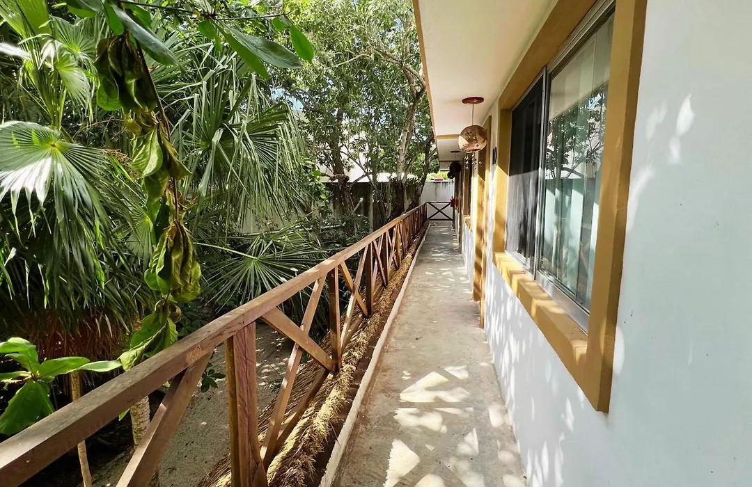 Hotel Tequila Cancun-1