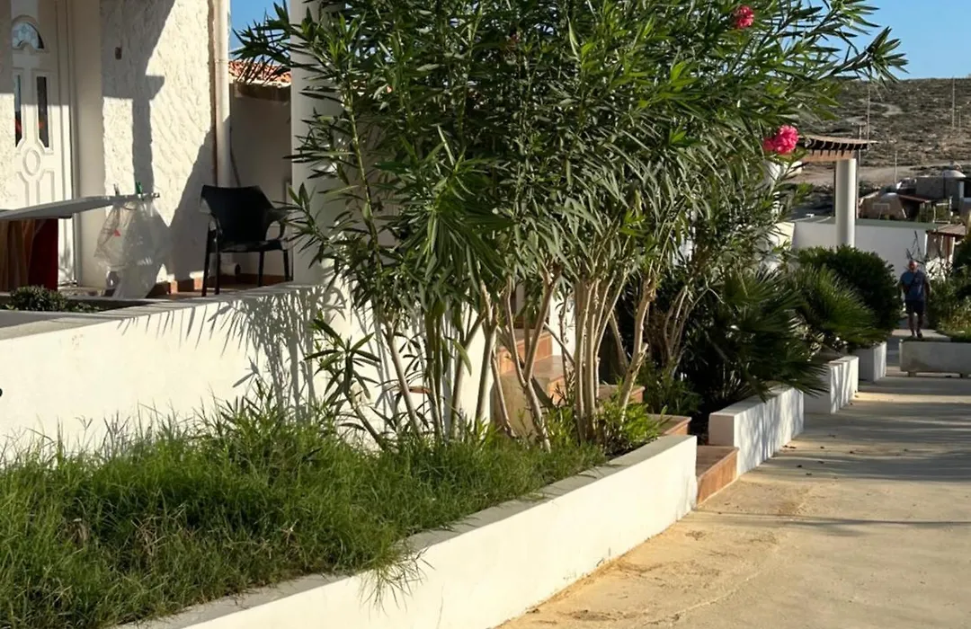 Oasi Di Casablanca-1