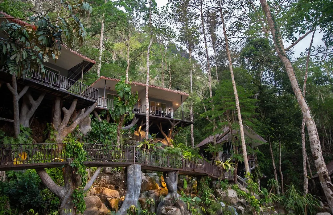 Rock And Tree House Resort-1