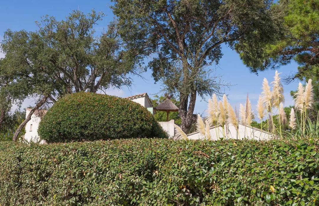 Résidence Domaine De Caranella-1