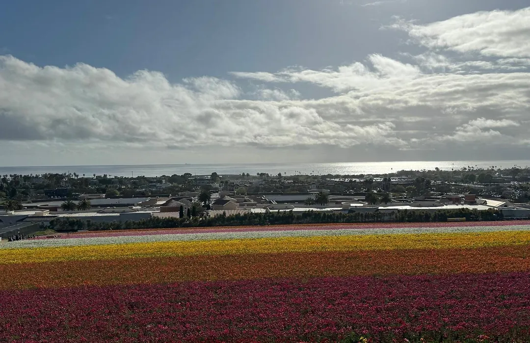 Holiday Inn Express & Suites Carlsbad Beach By Ihg-1