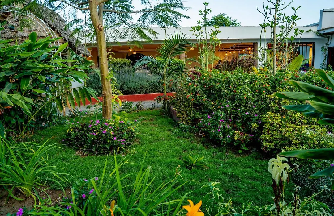 Dan Stam Hotel-1