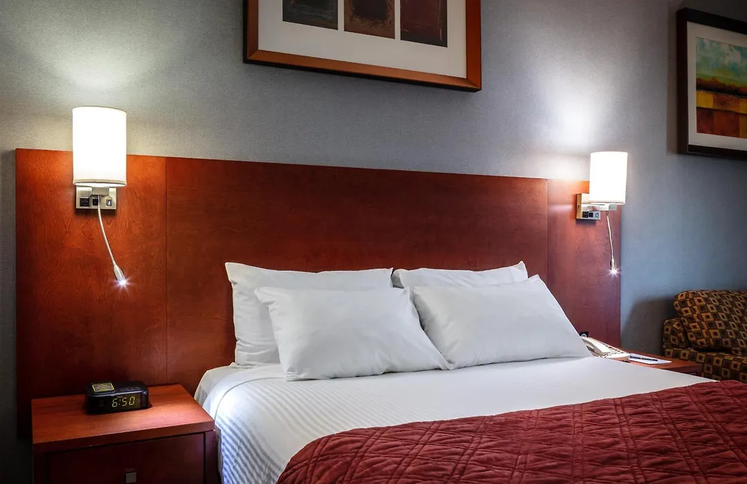 Auberge Royal Versailles-1