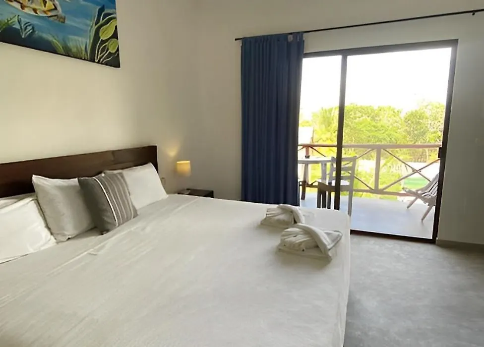 Basic Tulum-1