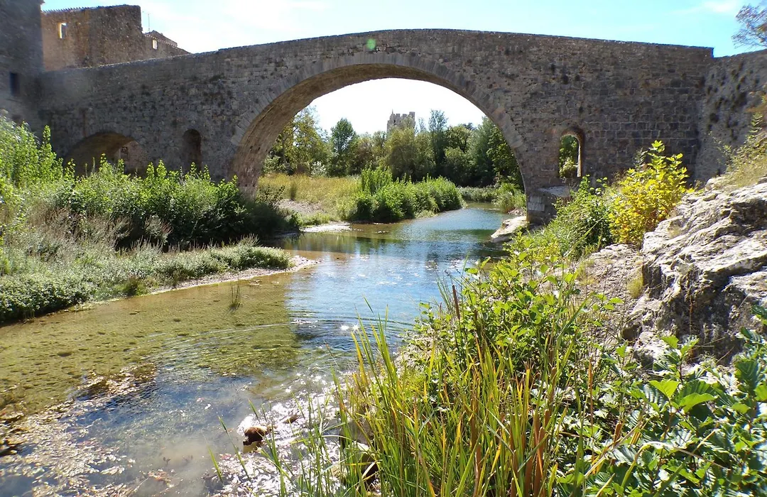 le Relais de la Cavayere - Chambres d'hôtes avec SPA&SAUNA Carcassonne - Parking privé ferme-1