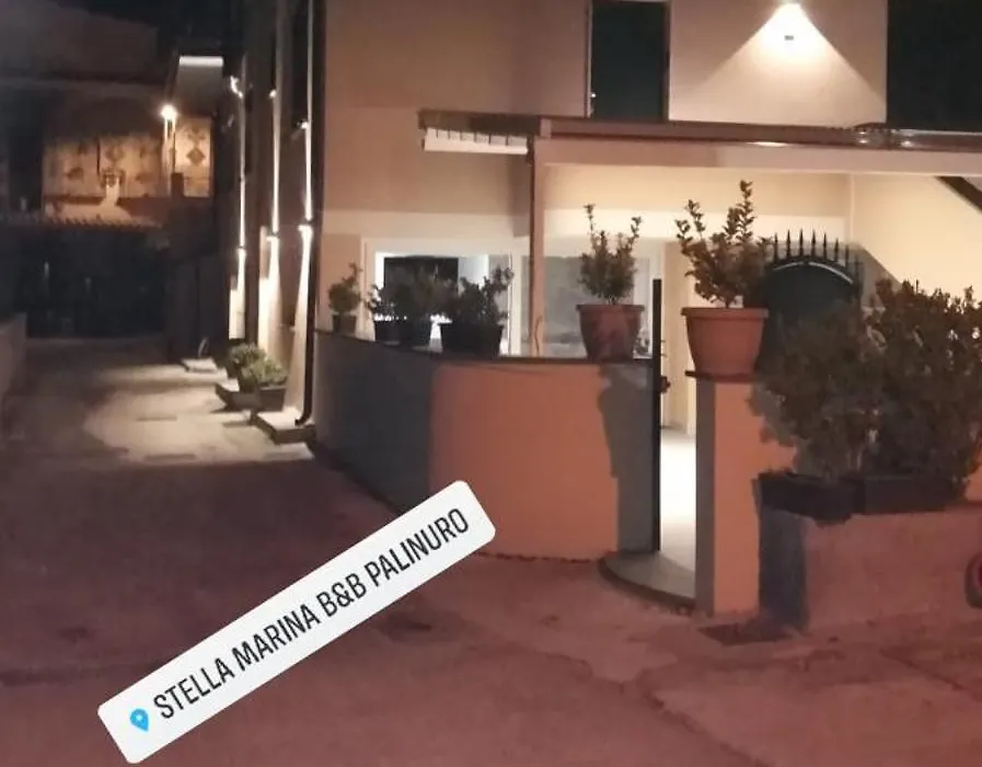 Stella marina-1