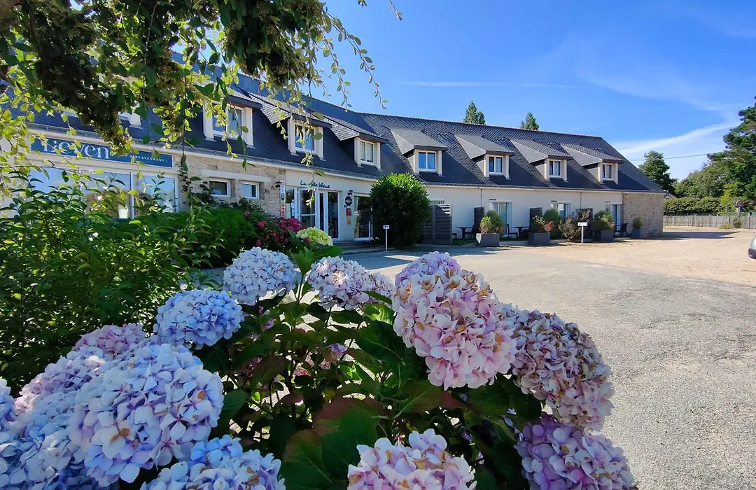 Hôtel La Voile Bleue-1