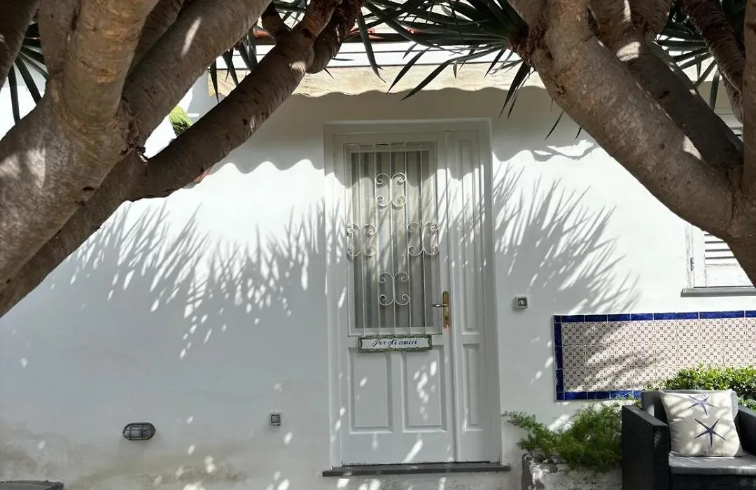 Dependance in Villa Argentina-1