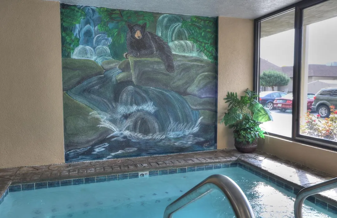 Comfort Inn & Suites At Dollywood Lane-1