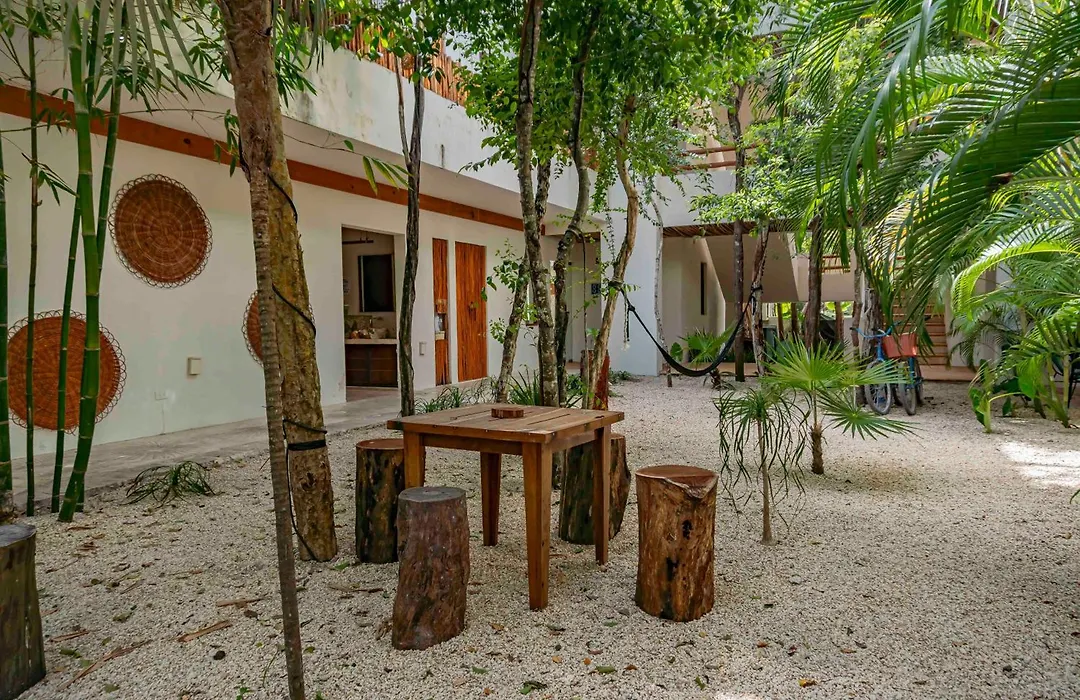 Niik Tulum-1